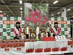 集合写真
