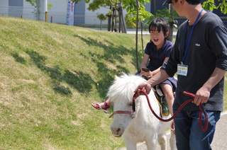 ポニーの乗馬に大喜び