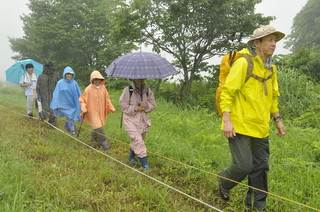 雨のウオーキングは涼しいね