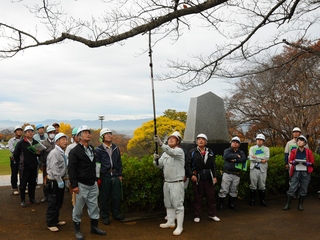 てんぐ巣病になった枝を除去