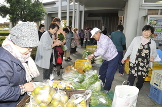 大人気の越冬野菜販売