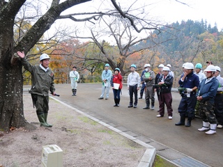 講師の山田さんが枝の切り方について解説