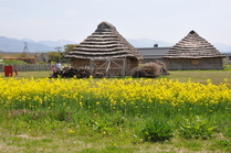 西沼田公園