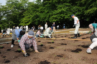 山本市長も植え付けました