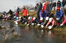 地域の方と子どもたちが一緒にサケ稚魚を放流