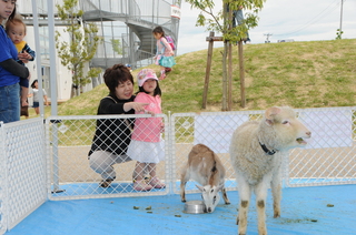 かわいい動物たちがお出迎え