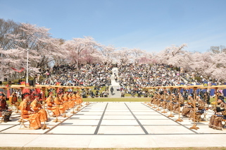 天童桜まつり人間将棋