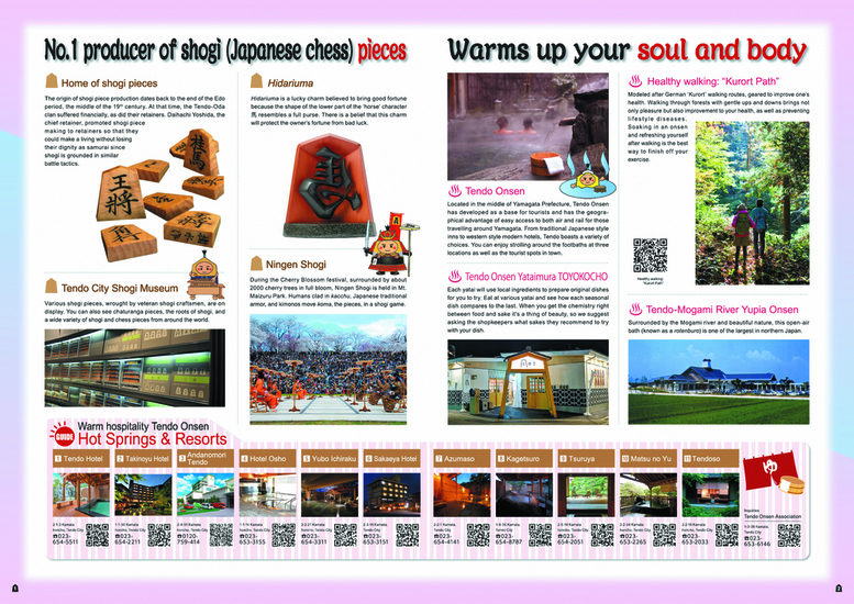 Pamphlet2