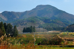 天童公園（舞鶴山）